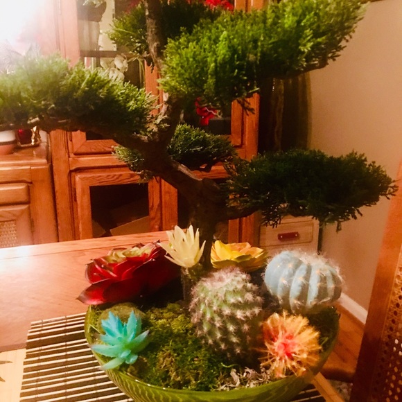 Bonsai Tree arrangement extremely life-like. - Picture 3 of 7